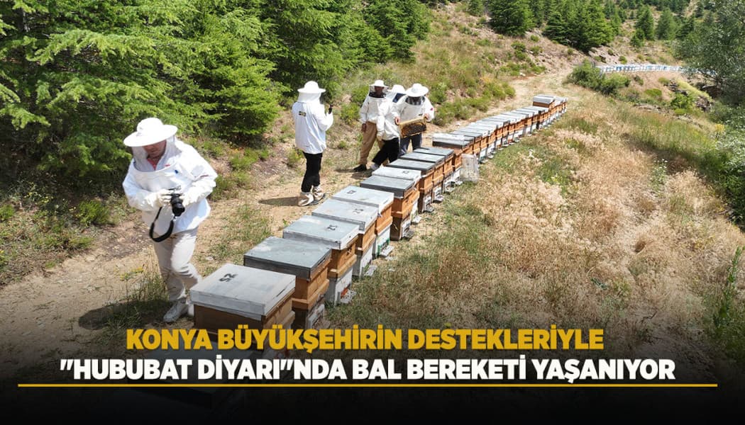 Konya'da Arıcılık Hamlesi: Kovan Varlığı 140 Bine Ulaştı